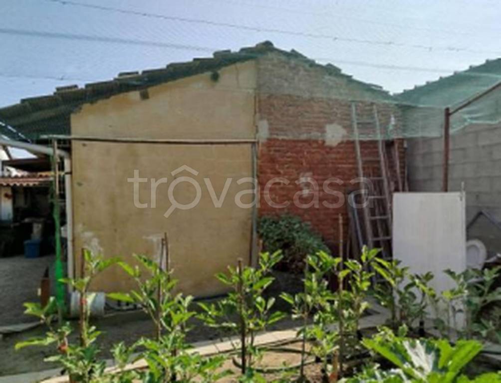 immagine annuncio 5 di 13