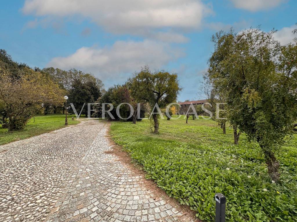 immagine annuncio 12 di 15