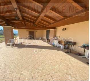 immagine annuncio 5 di 6