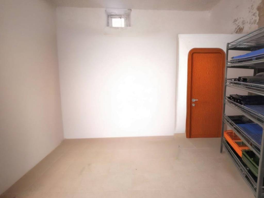 immagine annuncio 5 di 7