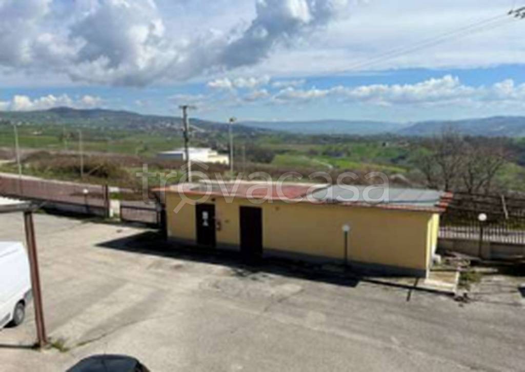 immagine annuncio 6 di 11