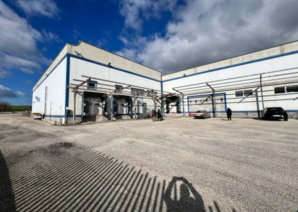 immagine annuncio 10 di 11