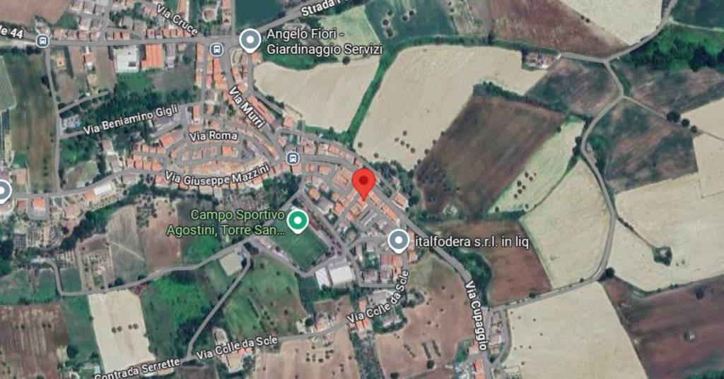 immagine annuncio 9 di 11