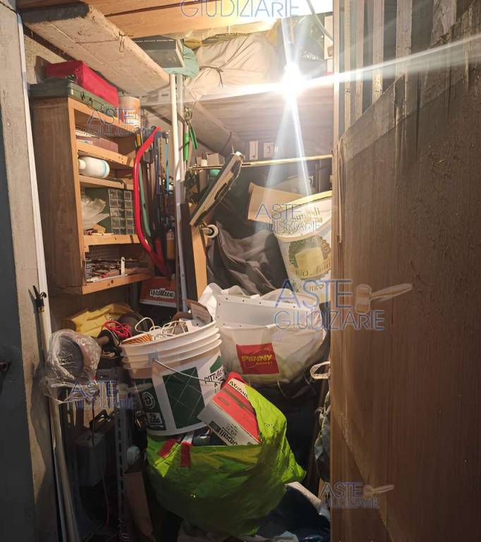 immagine annuncio 6 di 7