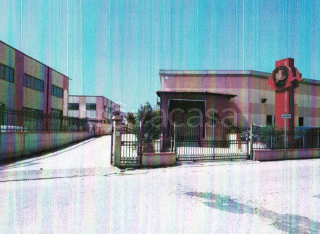 immagine annuncio 2 di 14