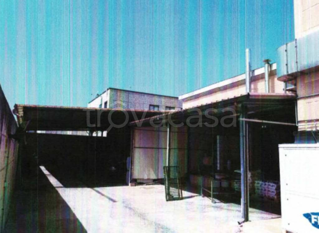 immagine annuncio 4 di 14