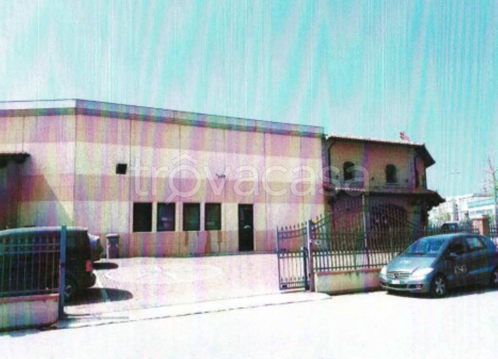 immagine annuncio 6 di 14