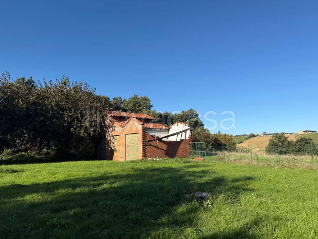 immagine annuncio 1 di 8