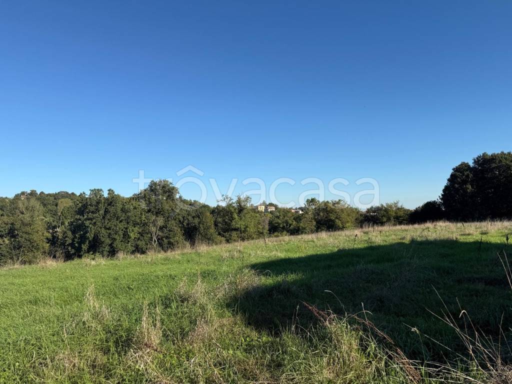 immagine annuncio 5 di 8