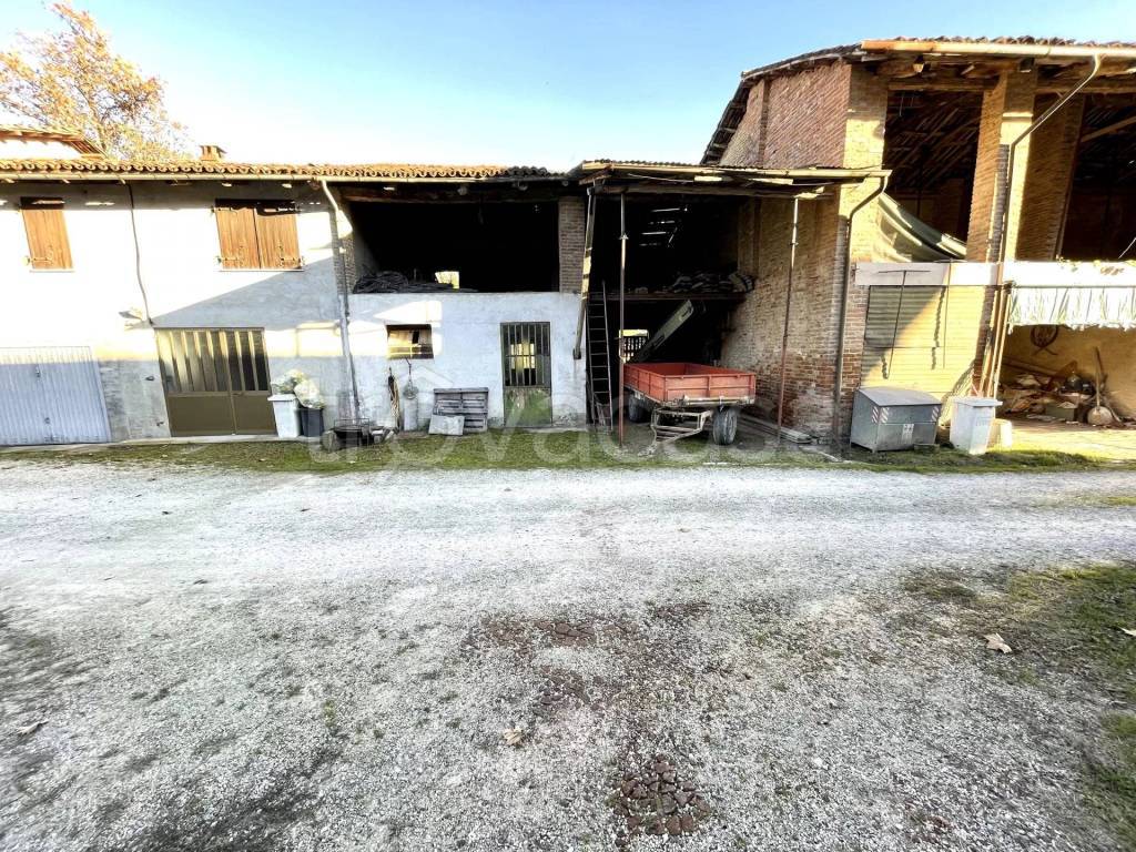 immagine annuncio 12 di 15