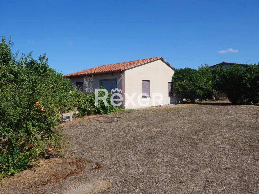 immagine annuncio 3 di 8