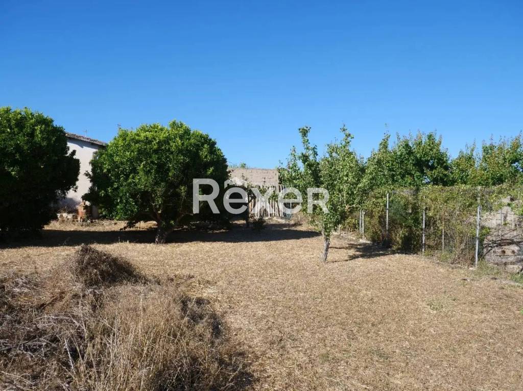 immagine annuncio 5 di 8