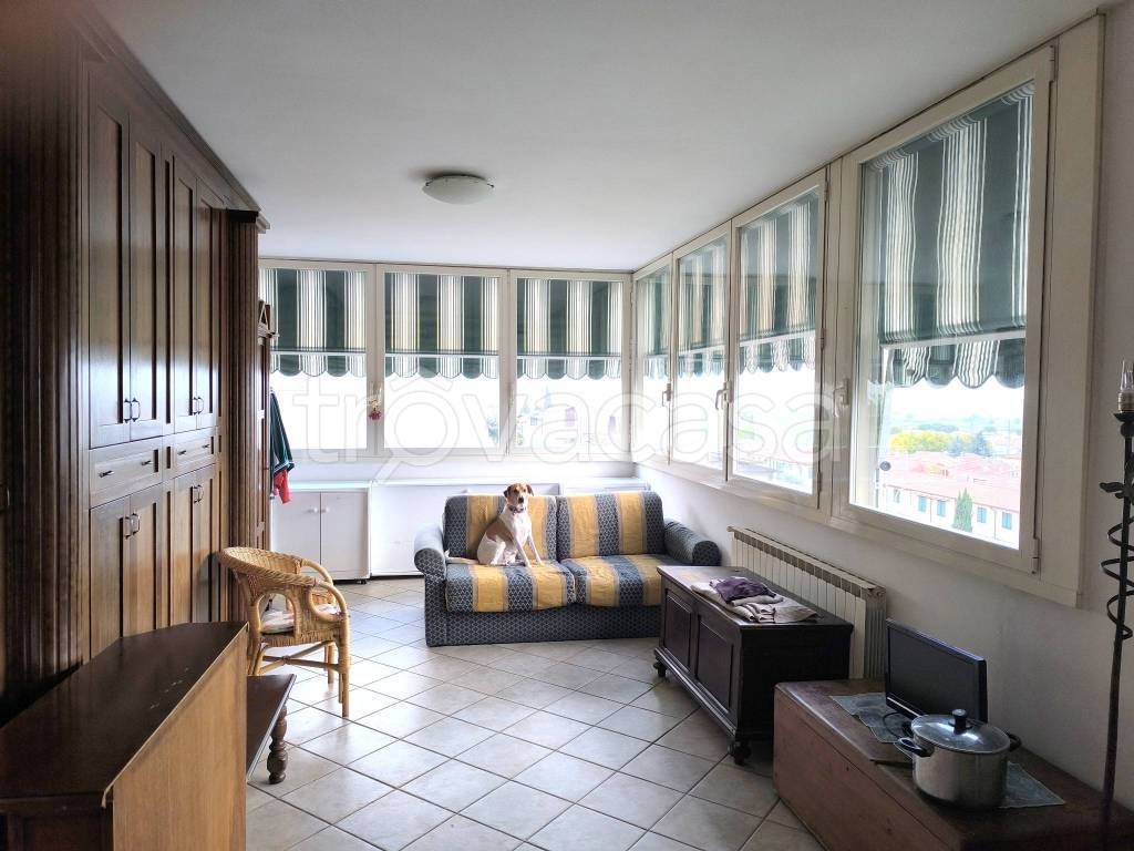 immagine annuncio 5 di 11