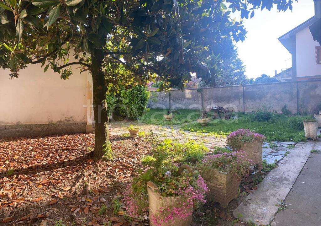 immagine annuncio 1 di 11