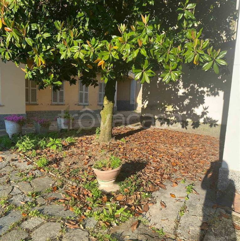 immagine annuncio 4 di 11