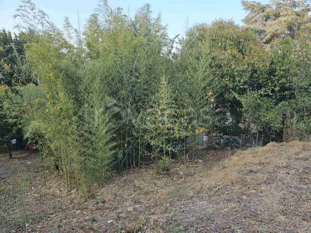 immagine annuncio 2 di 14