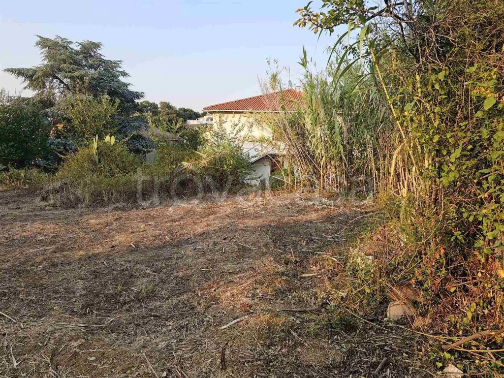 immagine annuncio 4 di 14