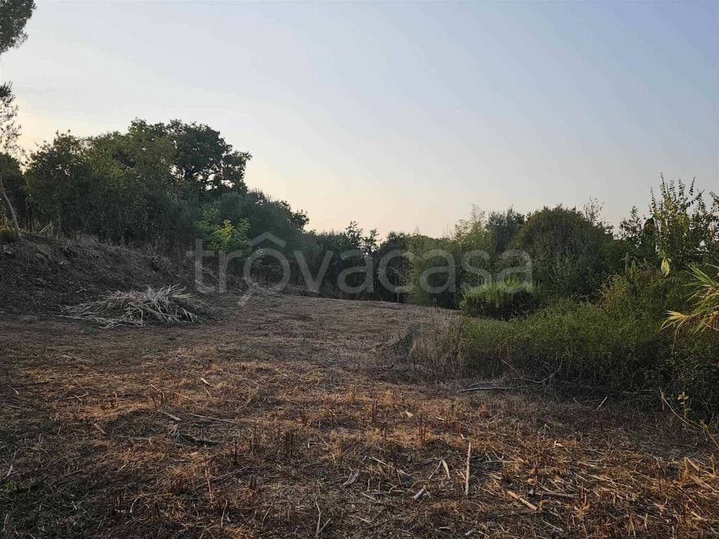 immagine annuncio 7 di 14