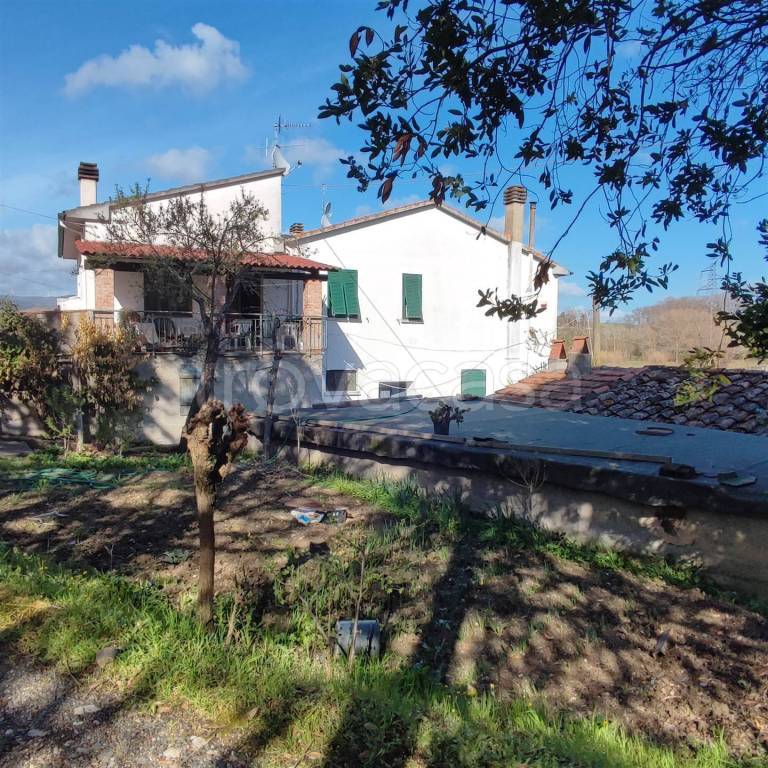 immagine annuncio 1 di 8