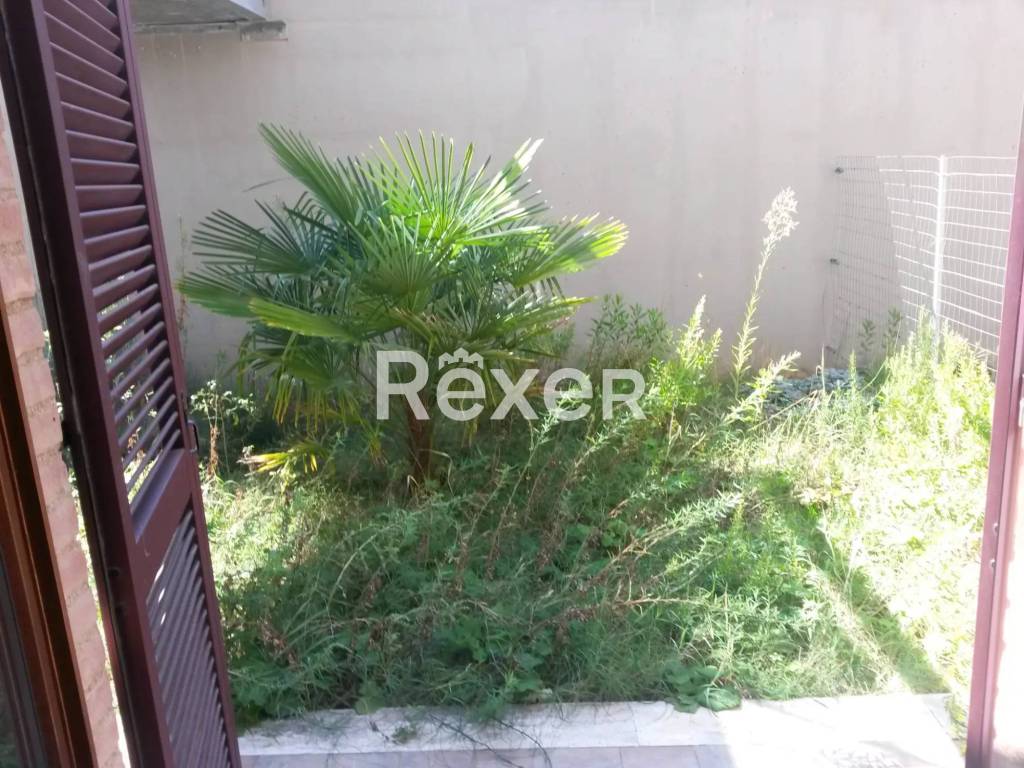 immagine annuncio 7 di 12