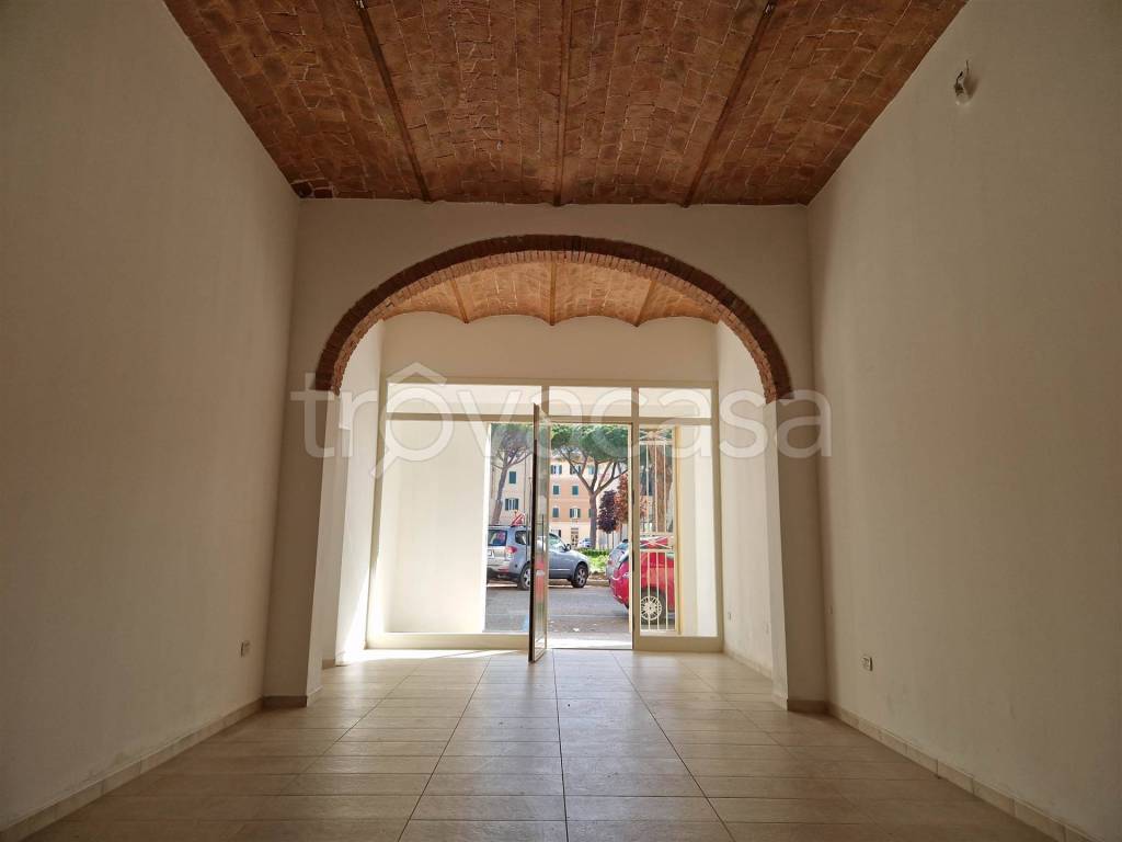 immagine annuncio 9 di 14