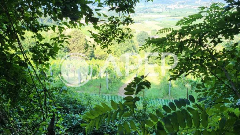 immagine annuncio 6 di 14