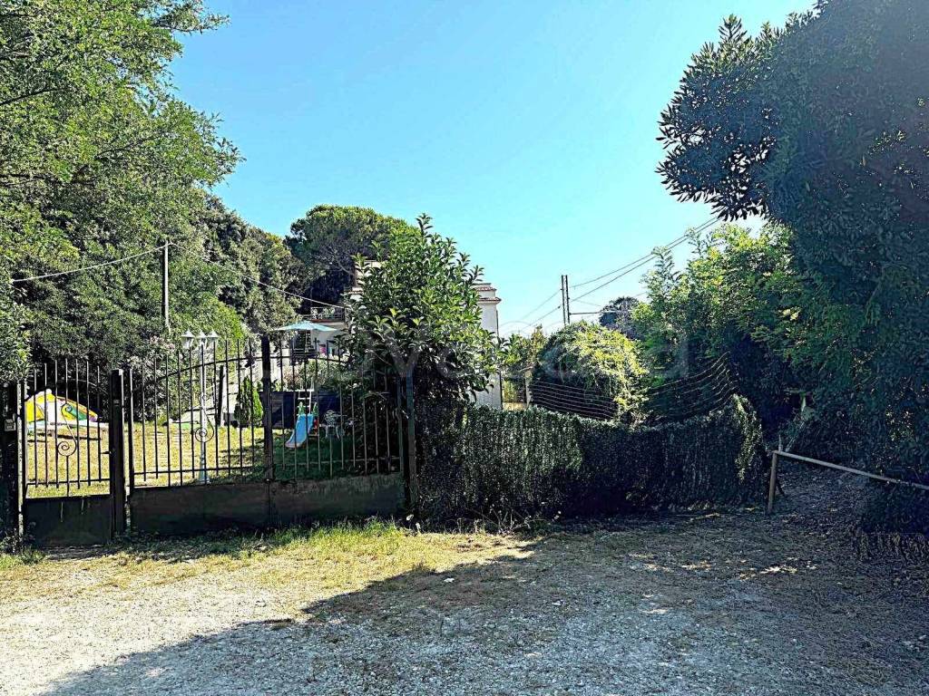 immagine annuncio 6 di 14