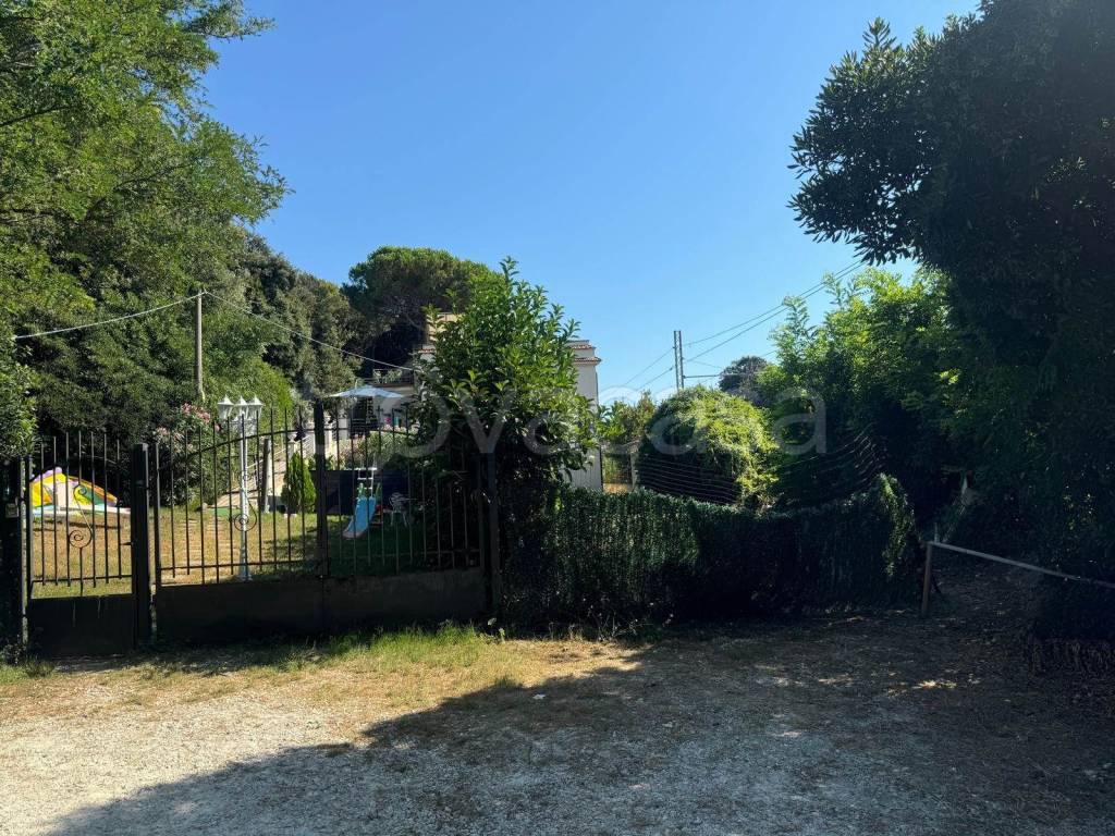 immagine annuncio 10 di 14