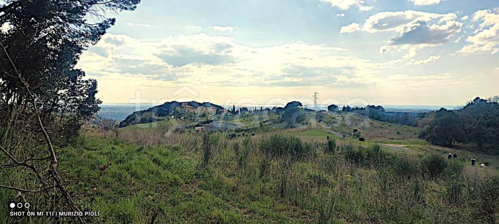 immagine annuncio 7 di 11