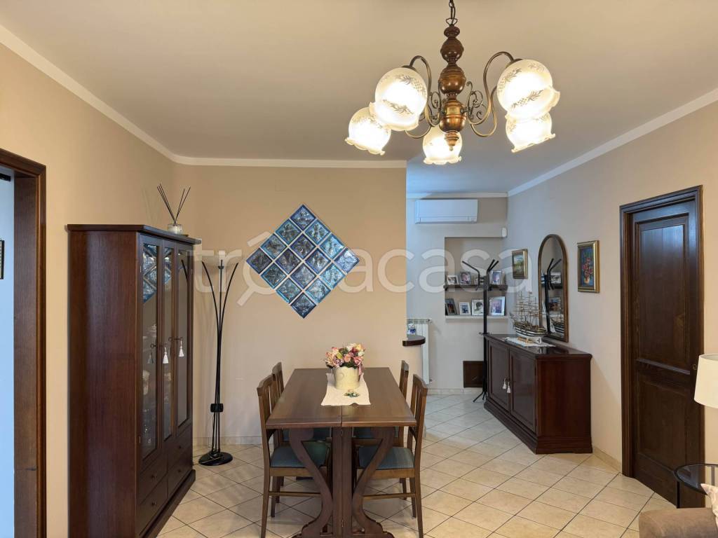 immagine annuncio 3 di 14