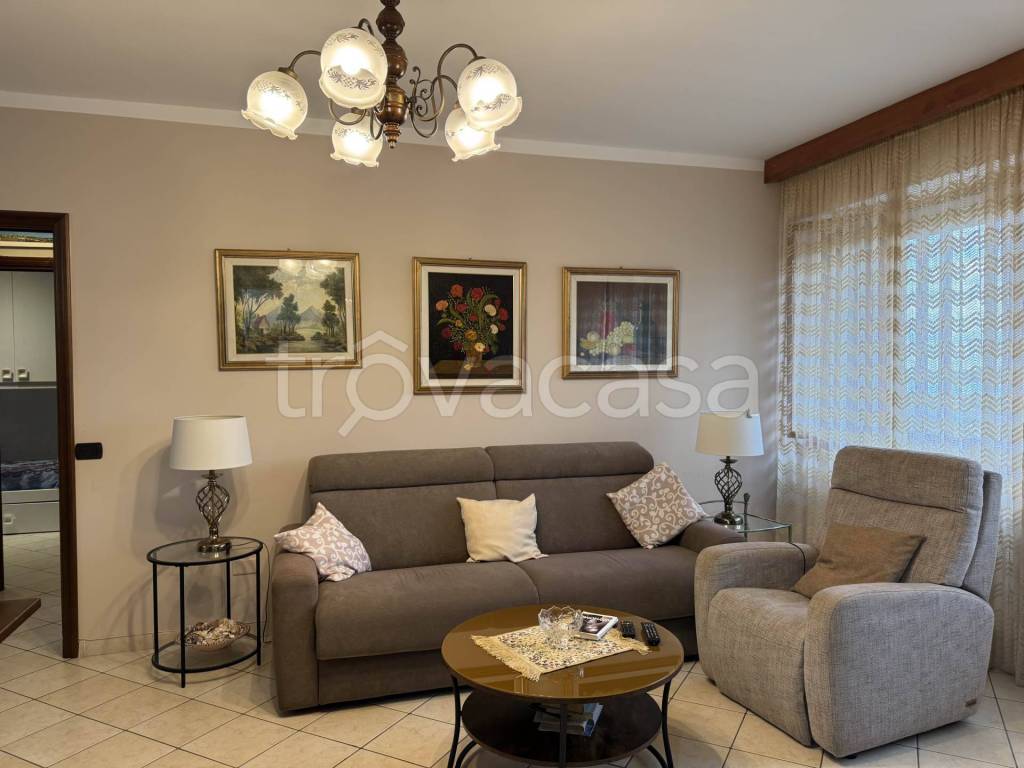 immagine annuncio 5 di 14