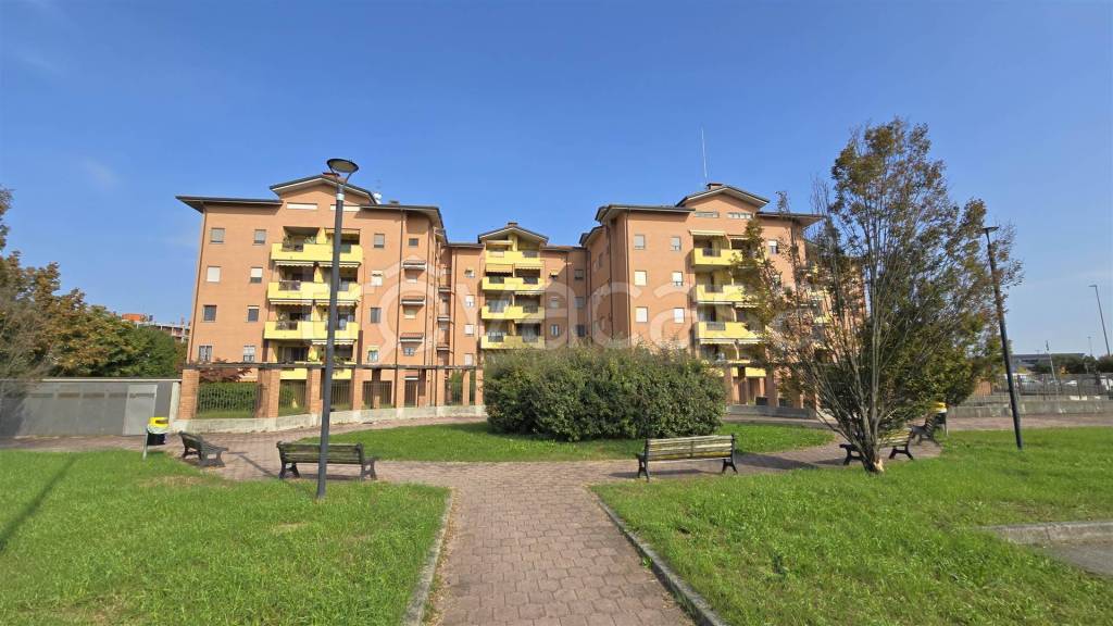 immagine annuncio 1 di 15