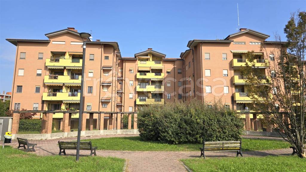 immagine annuncio 2 di 15