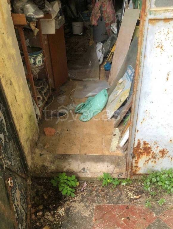 immagine annuncio 7 di 14