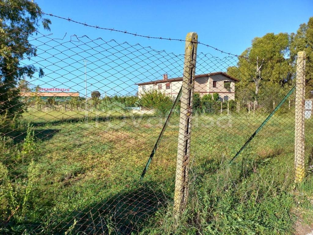 immagine annuncio 2 di 11