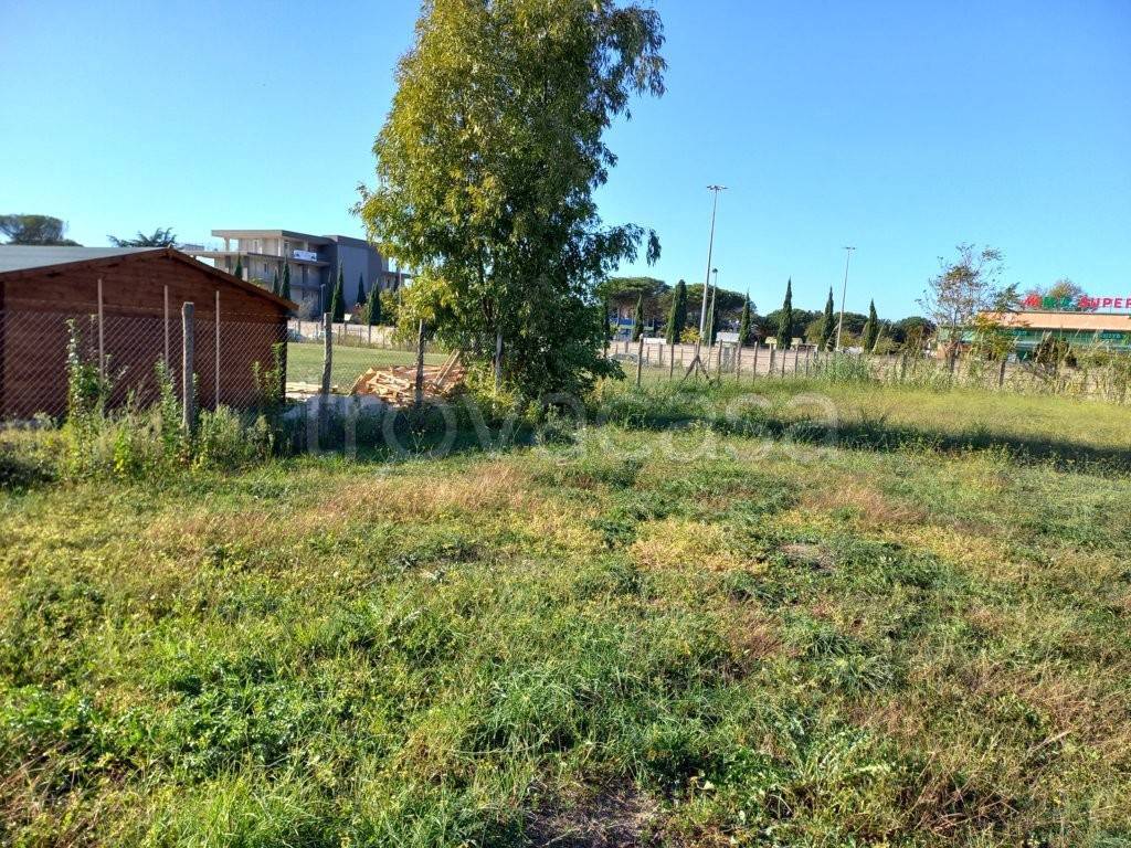 immagine annuncio 3 di 11