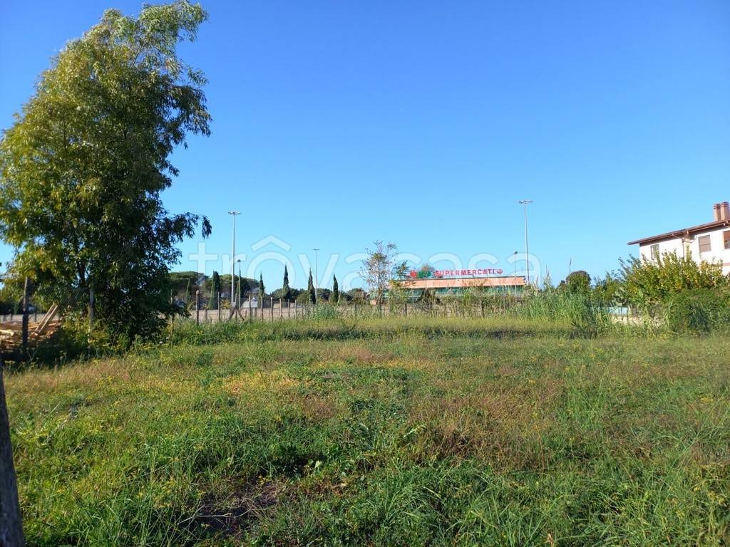 immagine annuncio 5 di 11