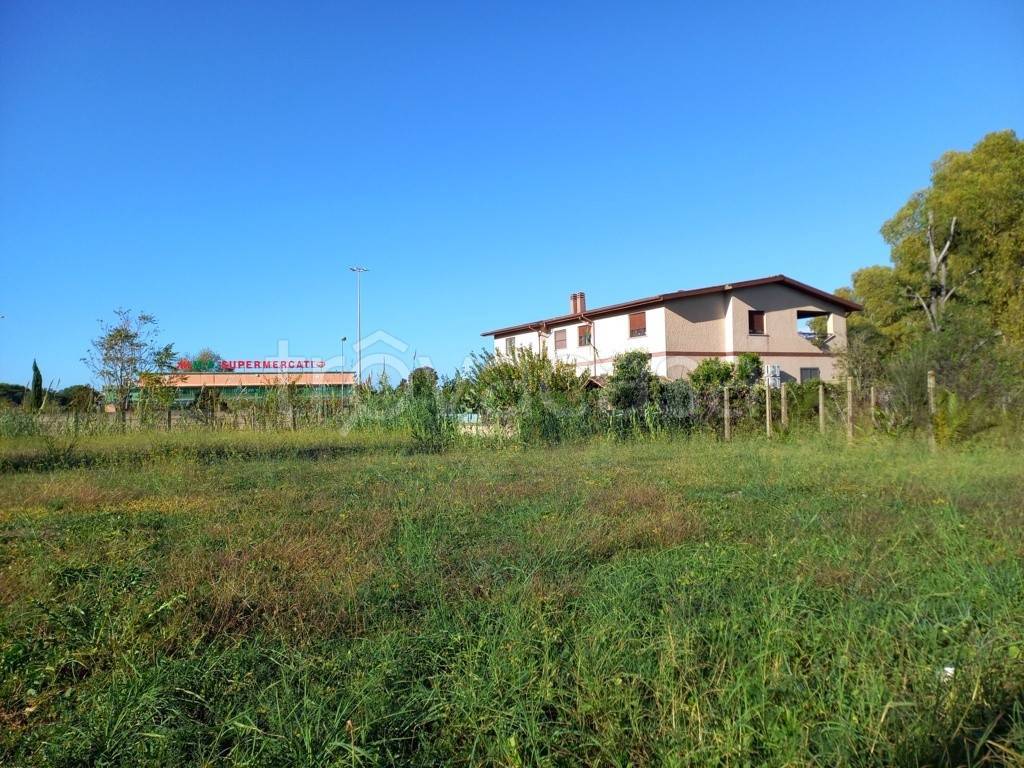 immagine annuncio 7 di 11