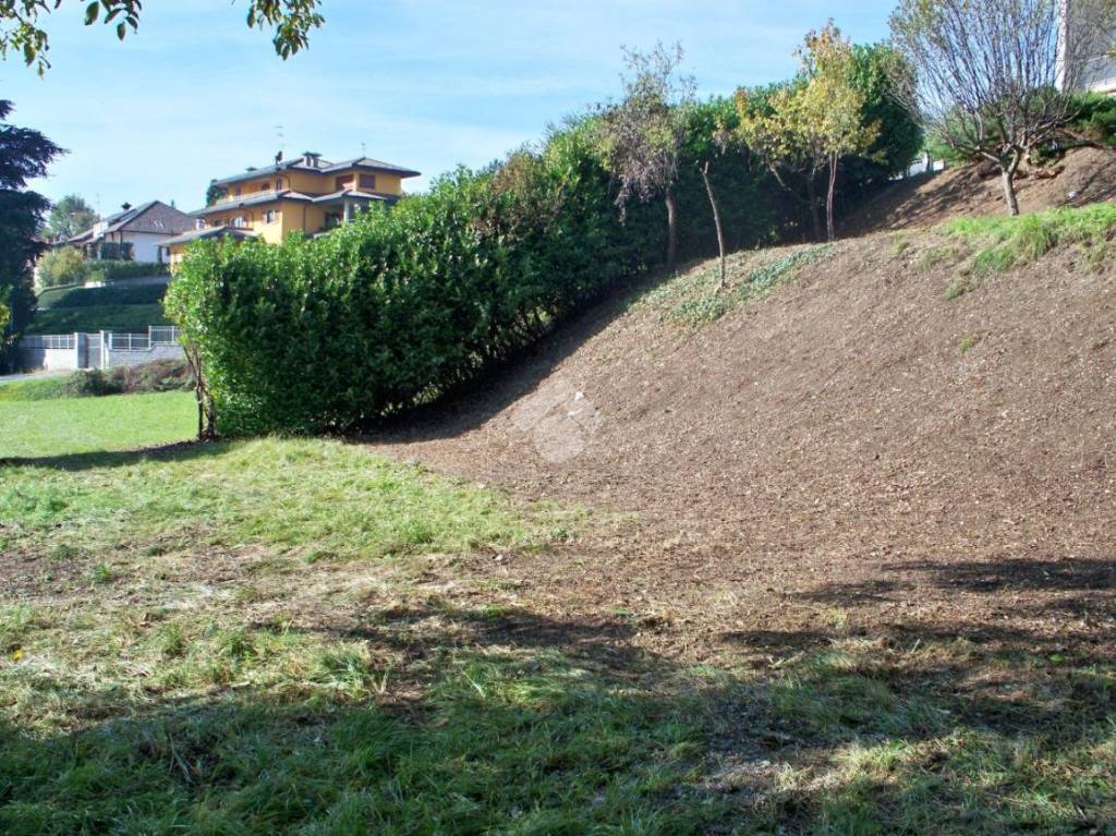 immagine annuncio 3 di 7