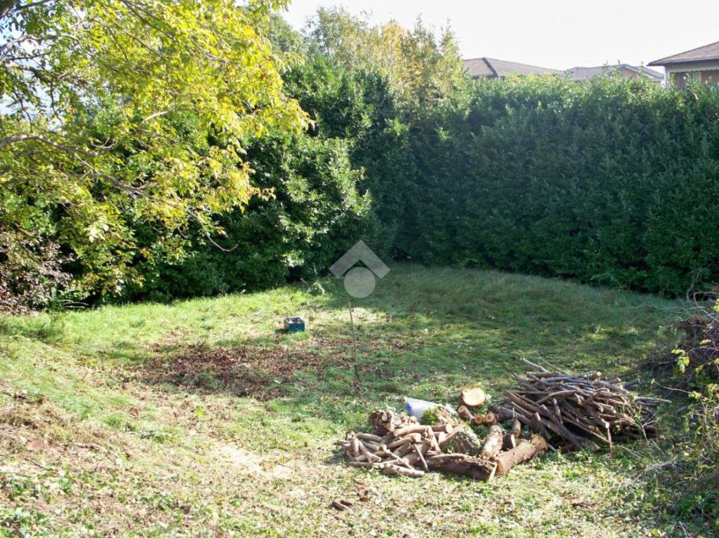 immagine annuncio 4 di 7