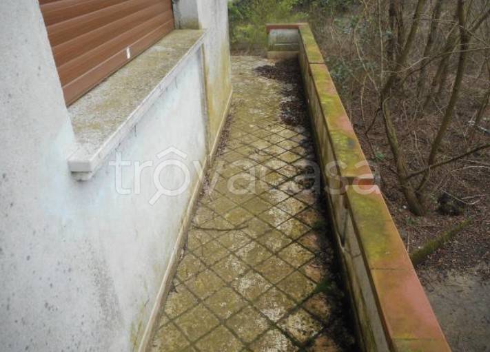 immagine annuncio 7 di 14