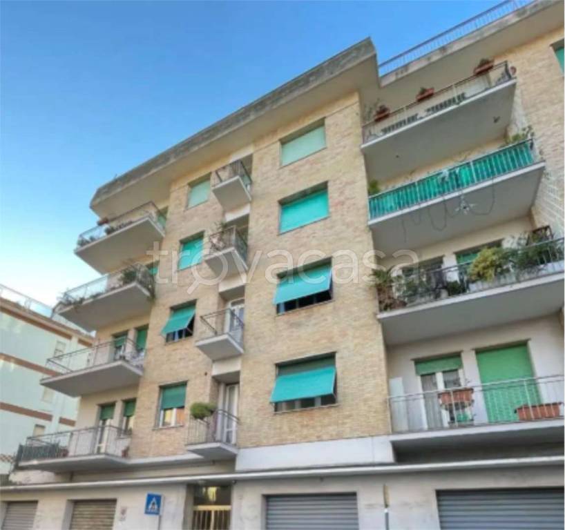 immagine annuncio 12 di 14