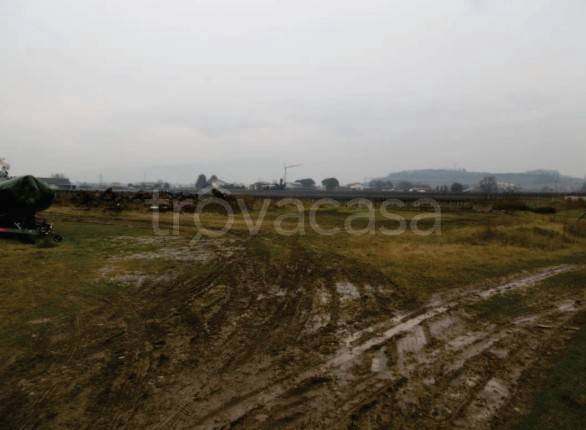 immagine annuncio 3 di 14