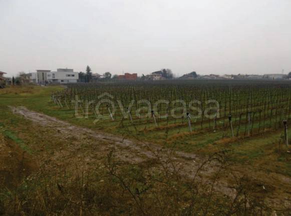 immagine annuncio 9 di 14