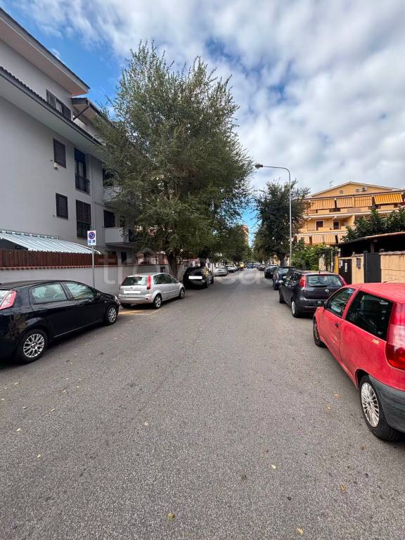 immagine annuncio 13 di 14