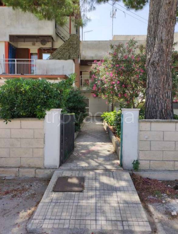 immagine annuncio 9 di 14