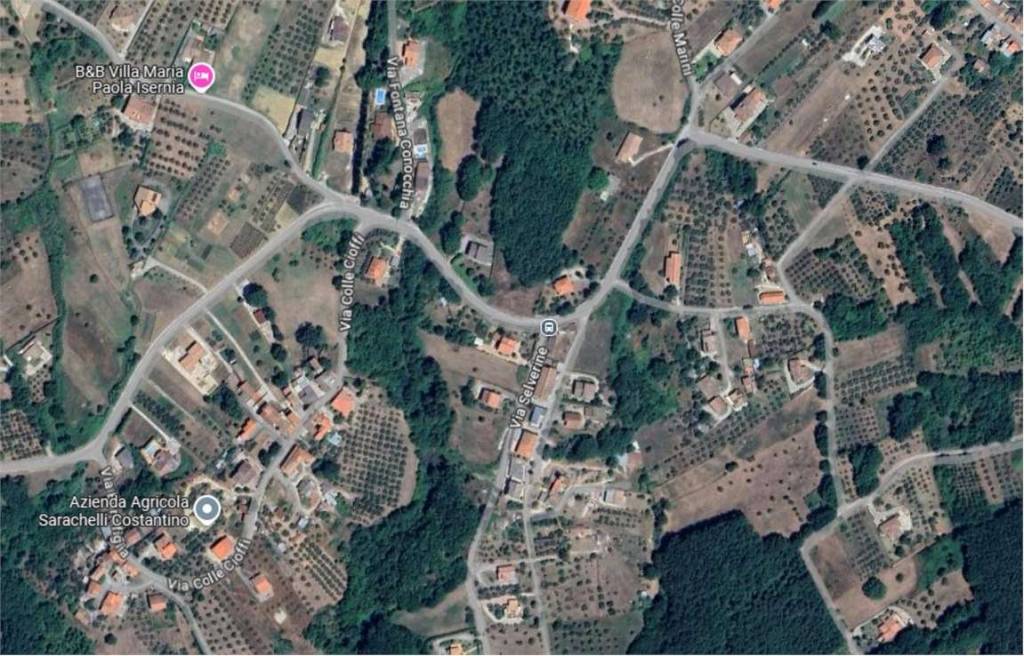 immagine annuncio 6 di 9