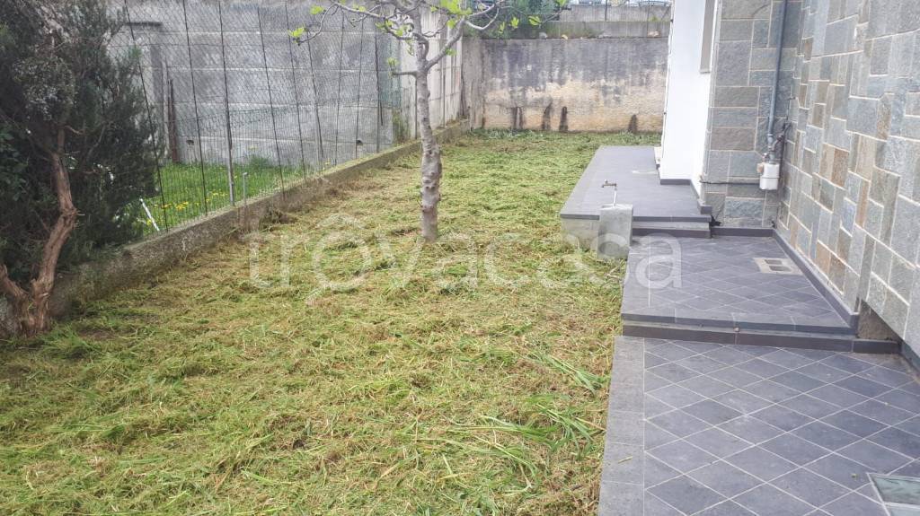 immagine annuncio 9 di 12