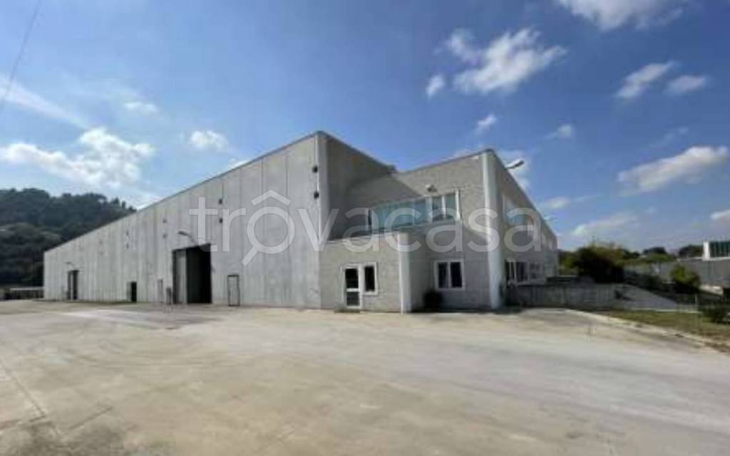 immagine annuncio 8 di 13