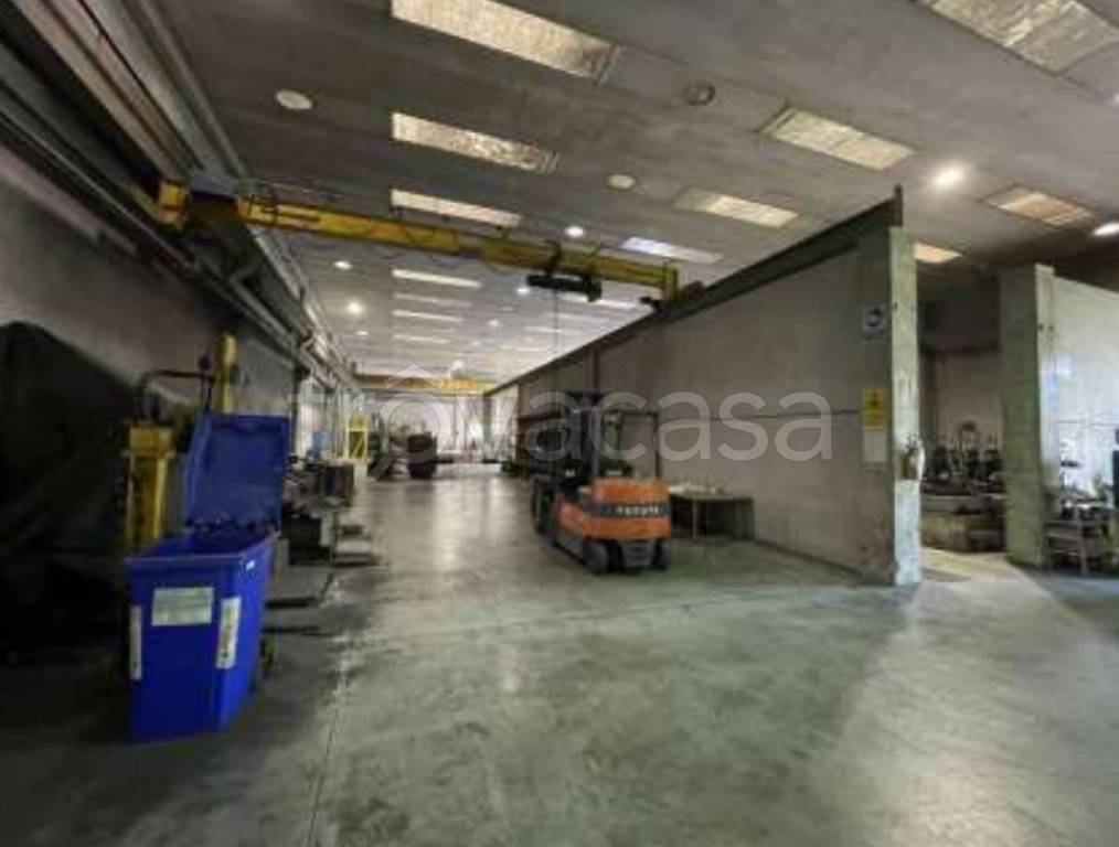 immagine annuncio 9 di 13